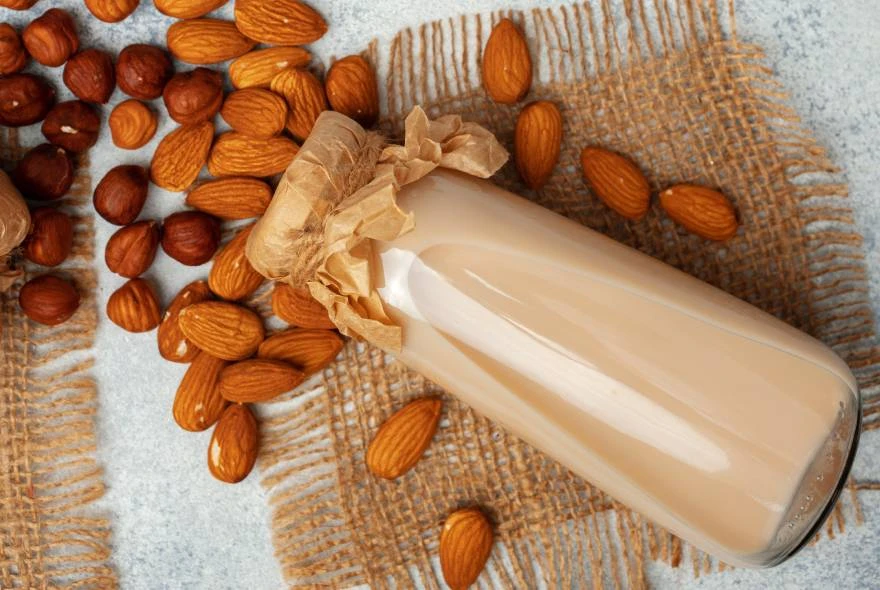 Kako napraviti biljno mleko