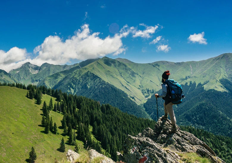 Pođi kud bilo - Sesil Šabo