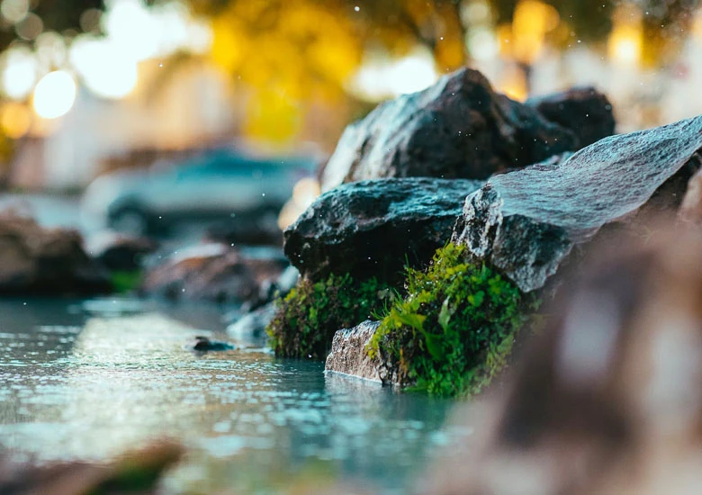 Slap - Dobriša Cesarić