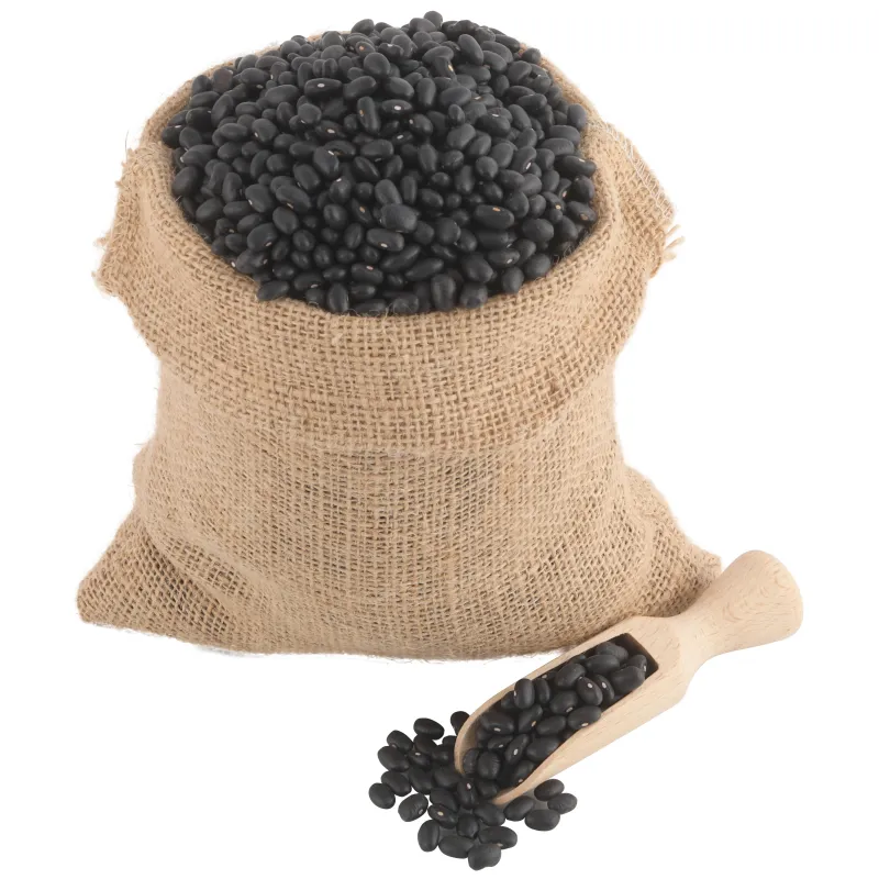 Crni pasulj (organski proizvod) Bio Špajz