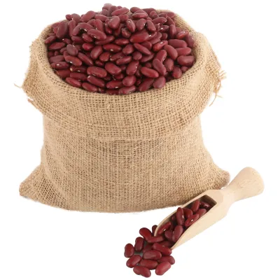 Crveni pasulj (organski proizvod) Bio Špajz