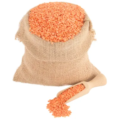 Crveno sočivo (organski proizvod) Bio Špajz