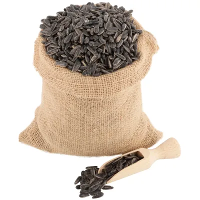 Pečeni neljušteni slani suncokret