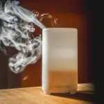 Ultrasonični difuzer 30m2 Florihana